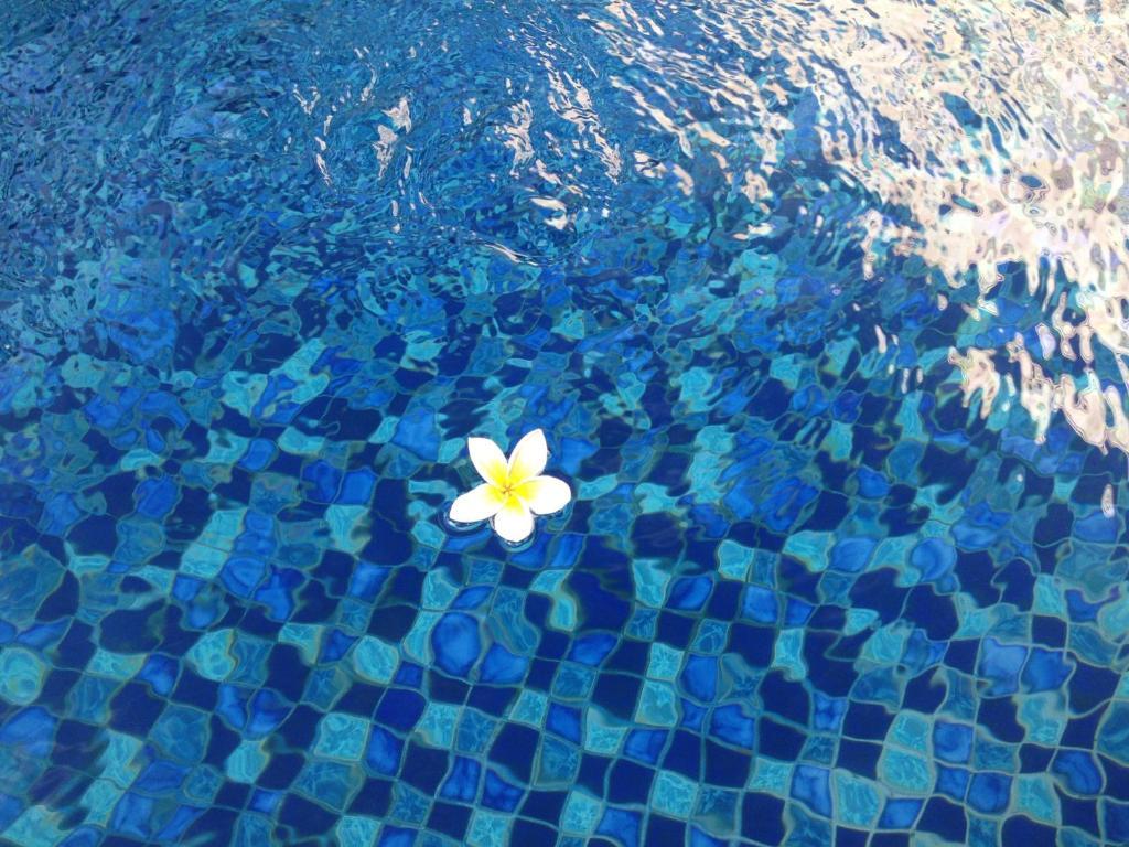 Coco De Heaven House Hotell Jimbaran Exteriör bild